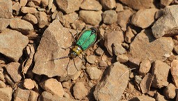 IMG_9221.jpg