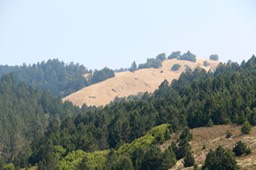 IMG_9222.jpg