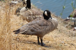 IMG_9231.jpg