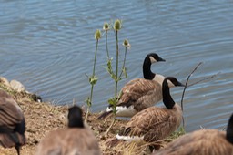 IMG_9236.jpg