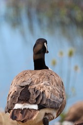 IMG_9245.jpg