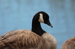 IMG_9248.jpg