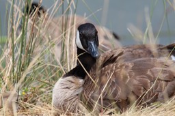 IMG_9290.jpg