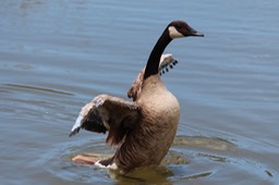 IMG_9306.jpg