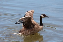 IMG_9308.jpg