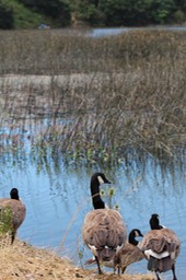 IMG_9309.jpg