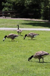 IMG_9319.jpg