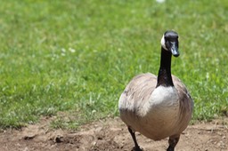 IMG_9320.jpg