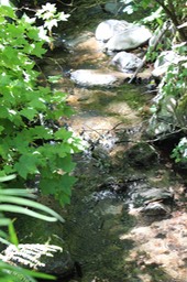 IMG_9325.jpg