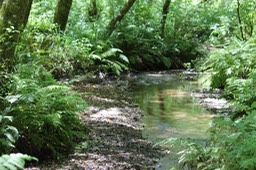 IMG_9338.jpg