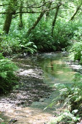 IMG_9339.jpg