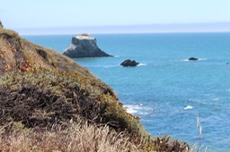 IMG_9355.jpg