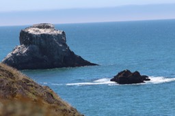 IMG_9357.jpg