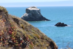 IMG_9368.jpg
