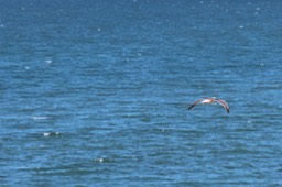 IMG_9370.jpg