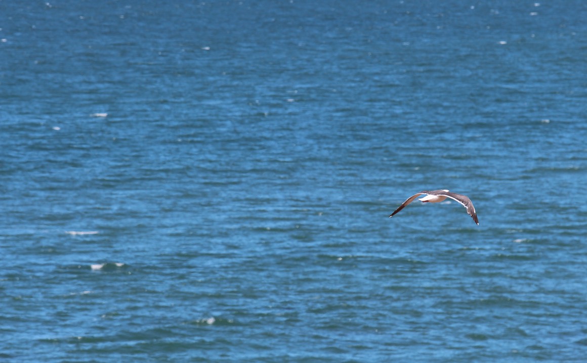IMG_9370.jpg