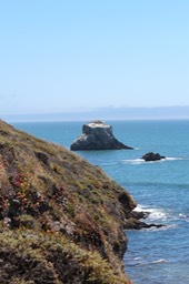 IMG_9378.jpg