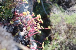 IMG_9382.jpg