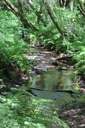 IMG_9403.jpg