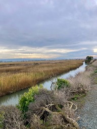 IMG_9511
