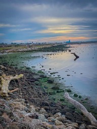 IMG_9516