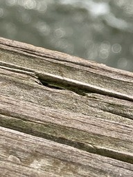 IMG_9523