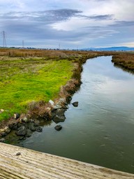 IMG_9524