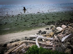 IMG_9531