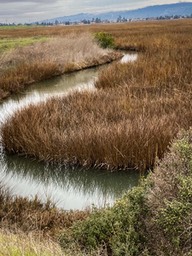 IMG_9536