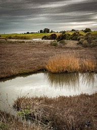 IMG_9543