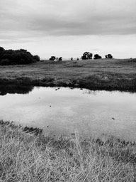 IMG_9574