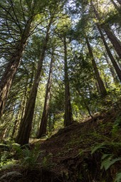 IMG_9730