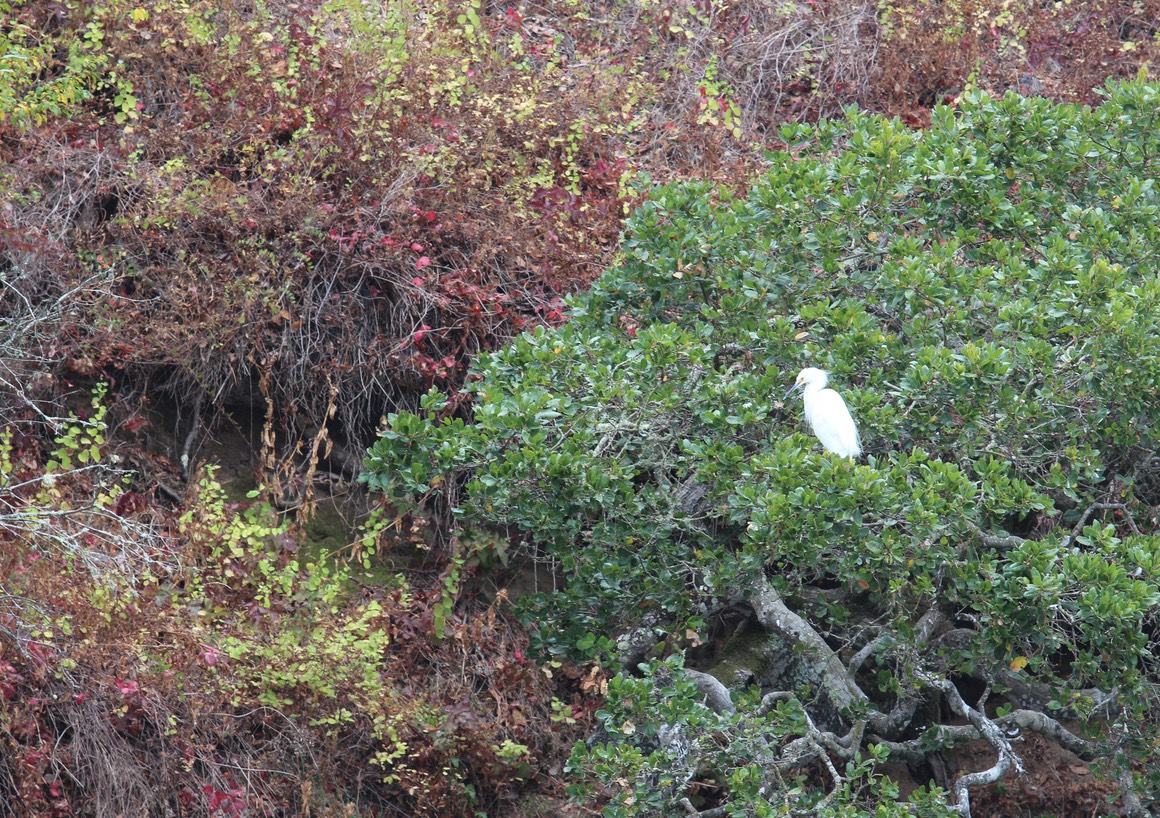 IMG_9752.jpg