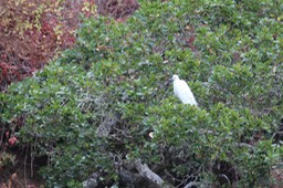 IMG_9758.jpg