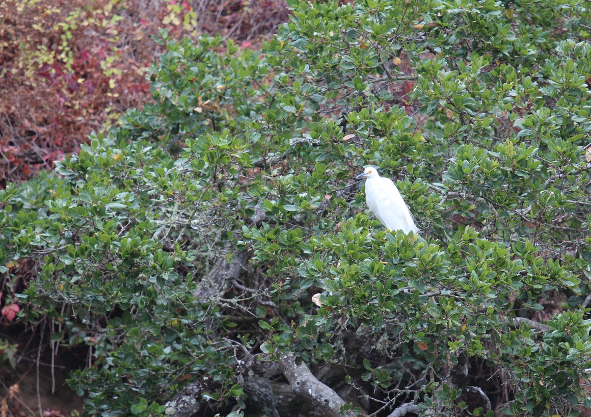 IMG_9758.jpg