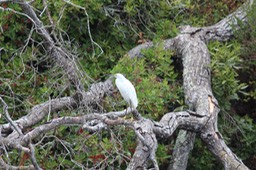 IMG_9760.jpg
