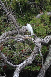 IMG_9762.jpg