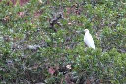 IMG_9770.jpg