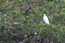 IMG_9771.jpg
