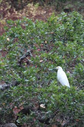 IMG_9773.jpg