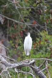 IMG_9787.jpg