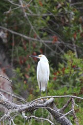 IMG_9788.jpg