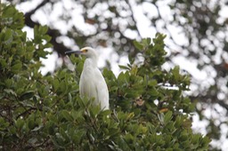 IMG_9797.jpg