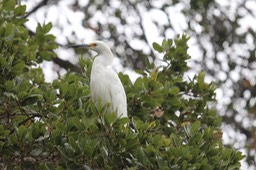IMG_9798.jpg