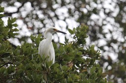 IMG_9799.jpg