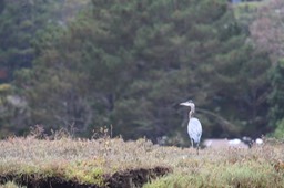 IMG_9801.jpg