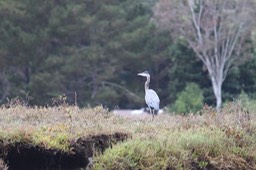 IMG_9804.jpg