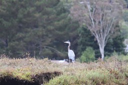 IMG_9805.jpg