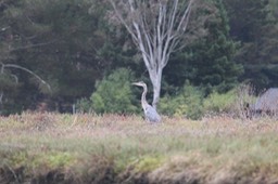 IMG_9820.jpg