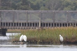 IMG_9840.jpg